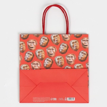 Gift package, packaging, “monkey”, 22 x 22 x 11 cm-6