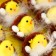 Easter souvenir "chicken in a nest with testicles" set of 12 pcs 4x5x5 cm
