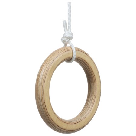 Gymnastic rings-4