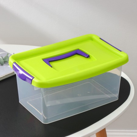Container for storage with a lid, 4 l, 29 × 19 × 13 cm, lighting color-1