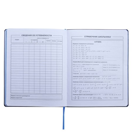 Universal Diary Grade 1-11, 48 sheets "sneakers", soft cover of artificial leather, silk-aircraft, OFSET block-9