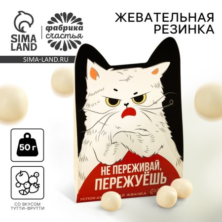 Chewing gum “Seek”, taste: Tutti-Fright, 50 g.