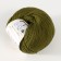 Yarn "Baby Cotton" 50% acrylic 50% cotton 165m/50g (443 swamp)