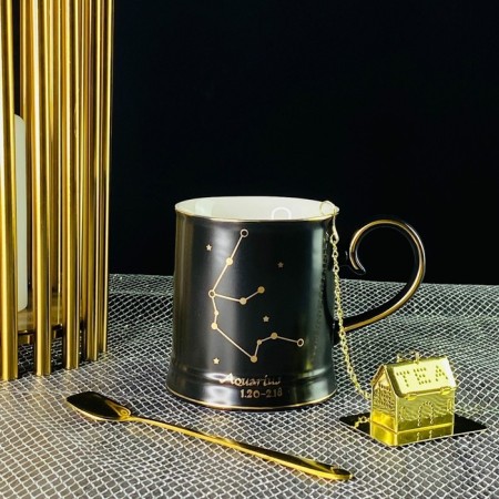 Lenardi mug "Signs of the zodiac. Aquarius ", with a spoon and filter, 360 ml