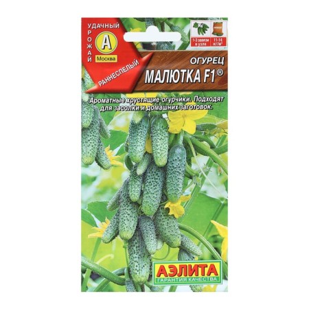 Cucumber seeds "Malyutka", F1, 10 pcs