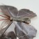Butterflies for decor and floristry, on the clothespin, plastic, brown, mix, 5 cm and 8 cm
