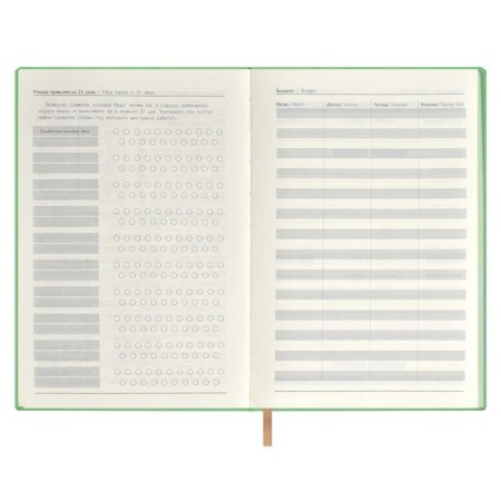 Diary of a low -up A5, 120 Escalada sheets, soft binding, artificial leather "Nappa", foil embossing, white offset 70 g/m², green-8