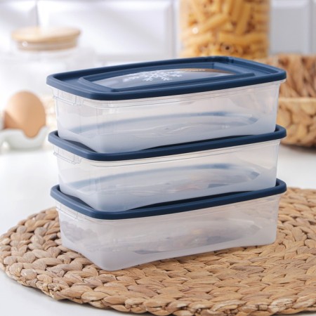 A set of containers for freezing products "Morozko", 3 pcs, 700 ml, color mix-3