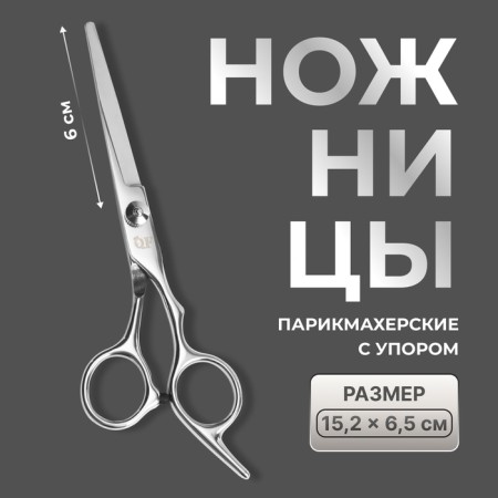 Hairdressers with emphasis, blade - 6 cm, silver color