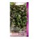 Seeds of Timyan Vegetable Medoca, 0.25gr