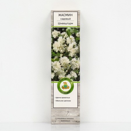 Jasmine Sadovy (Monaure) "Shnehhturm", 1 pc, tube, spring 2025