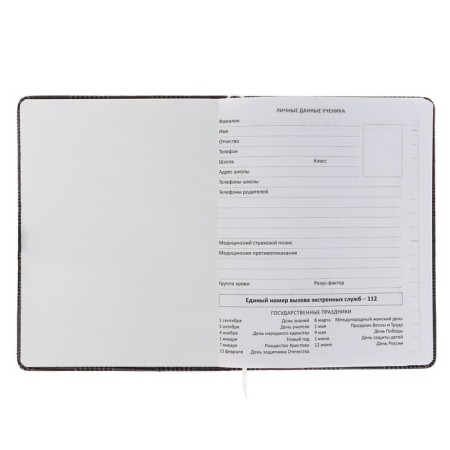 School diary for grade 1-11, Imperial Club on the Grey, solid cover, artificial leather, block 80 g/m2, liesse-3