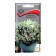 Flowers Alissum Crystal ringing, 20pcs