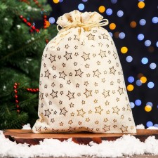 Gift bag from Zvezda canvases, 20 x 28 cm