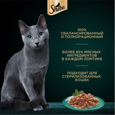 SHEBA Natures wet food for cats, spider, duck/apple stew, 75 g-2