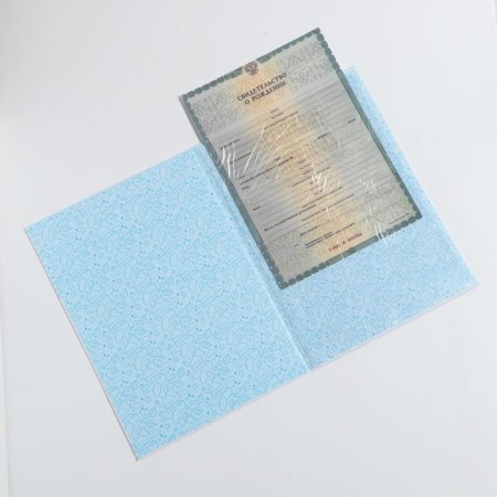 Folder for birth certificate for the boy "cat", a4-4