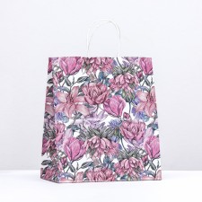 Paper package, craft 100 g/m2 25 x 22 x 12 cm 