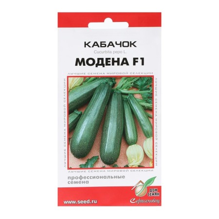 Semen zucchini "Modena", F1, 5 pcs