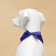 New Year. Bandana for animals "New Year", size L (Osh up to 62 cm)