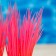 The artificial aquarium, luminous plant, 9 cm, red