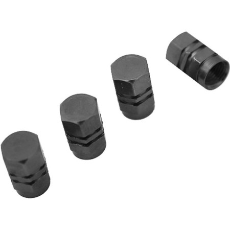 Caps for nipples, hexagonal, 4 pcs, titanium-1
