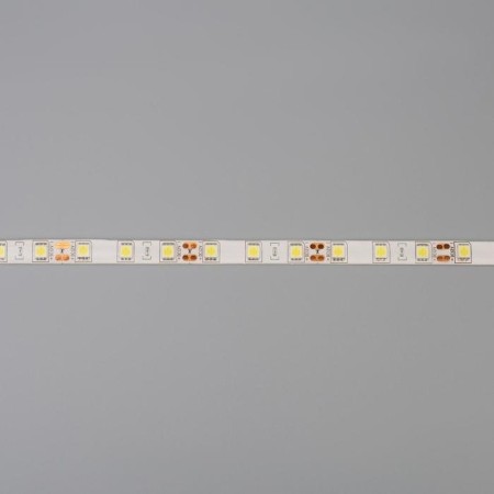 Ecla Pro 5 m, IP65, SMD5050, 60 LED/m, 14.4 W/m, 12 V, 6000K-4