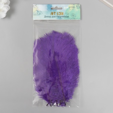 Decorative ostriches "Violet" h = 15-20 cm-2