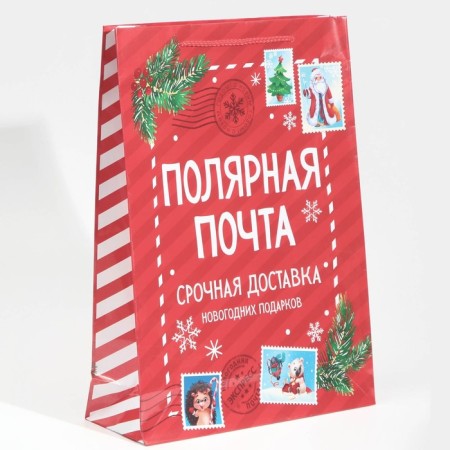 Packet Laminated Vertical Polar Mail, L 28 x 38 x 9 cm, New Year-1