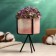 Kashpo "cylinder" pink, on a black stand, 13x8cm