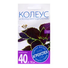 Flower seeds Koleus 