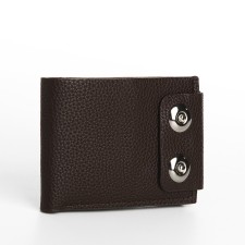 Male purse on magnets, department for bills, cards, coins, brown color
