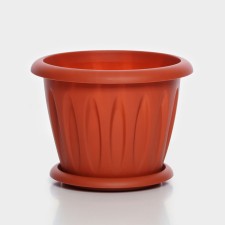 Pot with the pallet 