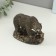 Figure "Bear Master Taiga" 10x13cm bronze