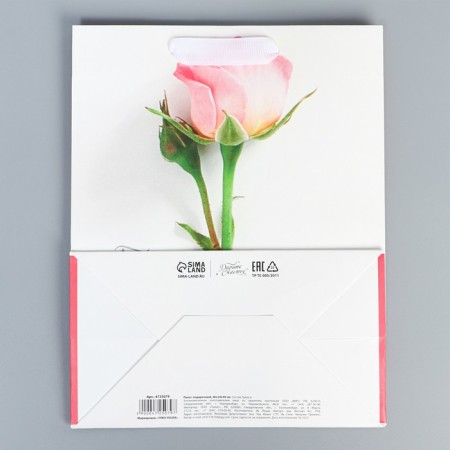 Package Gift Laminated Vertical, packaging, “You are beautiful”, MS 18 x 23 x 10 cm-3