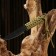 Throwing knife "Forest" 18cm, blade 89mm/1.8mm, green
