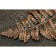 Plast decor set, Aerosol Plast Black, 0.52 l + patina copper, 0.03 kg