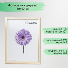 Photo frame Sasha 30x40 cm unpainted (plastic screen)