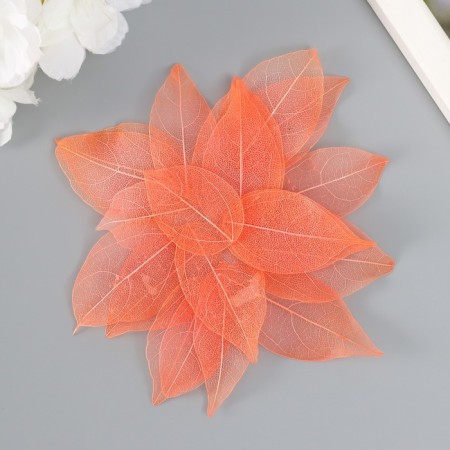 Leaves skeletered for creativity "coral" set 20 pcs h = 6-6.5 cm-2