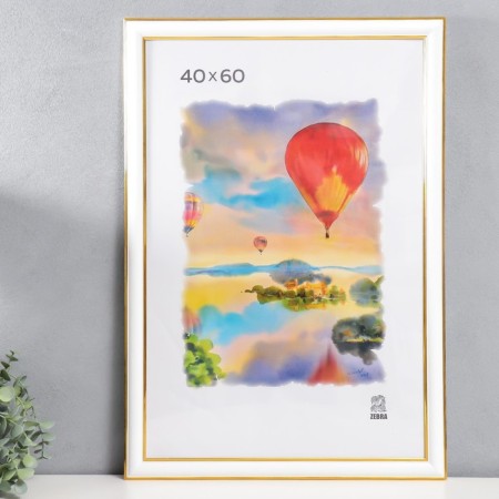 Photo frame plastic 40x60 cm (600) (plastic screen)