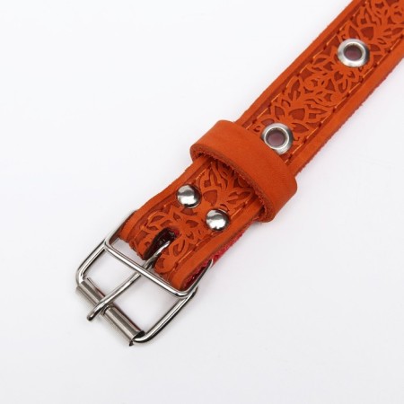 Collar leather reinforced with a kapron with a half-ring, 55 x 2.5 cm, Osh 27-53 cm, red-3