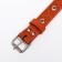 Collar leather reinforced with a kapron with a half-ring, 55 x 2.5 cm, Osh 27-53 cm, red
