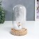 Souvenir Polystone "White Swan" Lumining flask 15.5x9.5x9.5 cm
