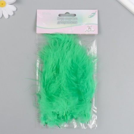Set of decorative feathers "needlework", 20 pcs (grass), pen length 13-16 cm-3