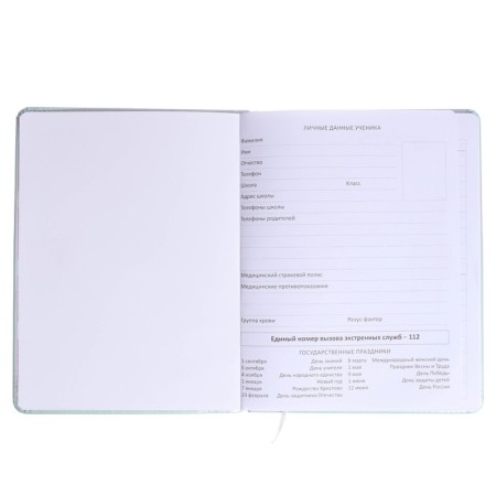 Universal Diary 1-11 class Hello Cutie. Rabbit, firm covering with foam rubber, artificial leather, liesse, block 80 g/m2-3