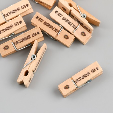 Decor for creativity Tree "clothespin - real lion" set 10 pcs-5