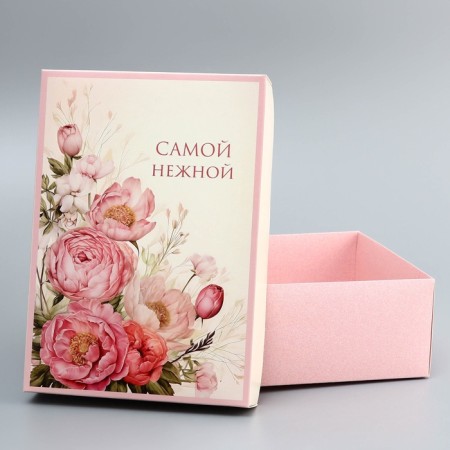 The box is folding, the lid is “the most tender”, 24 x 17 x 8 cm without a window-4