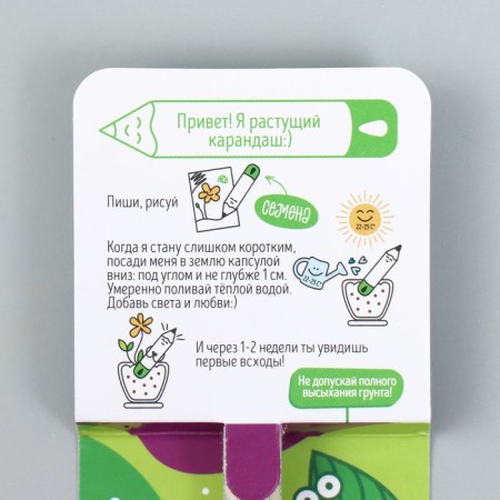 Growing gift pencils Mini "Basil"-2