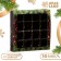 Packaging for sweets 16 pcs "New Year's branches", 17.7 x 17.7 x 3.8 cm