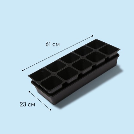Set for seedlings: glasses of 1 l (10 pcs.), Patron 61 × 23 cm, black-2