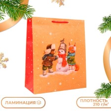 Gift Package 